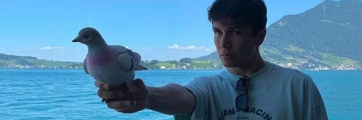 dandangtea's profile banner image