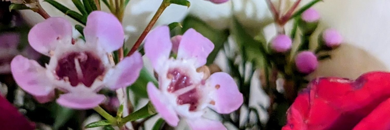 YunaIsRed1's profile banner image