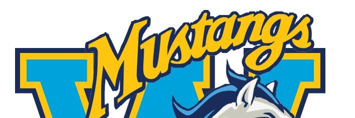 WHS SECURITY🤧 banner