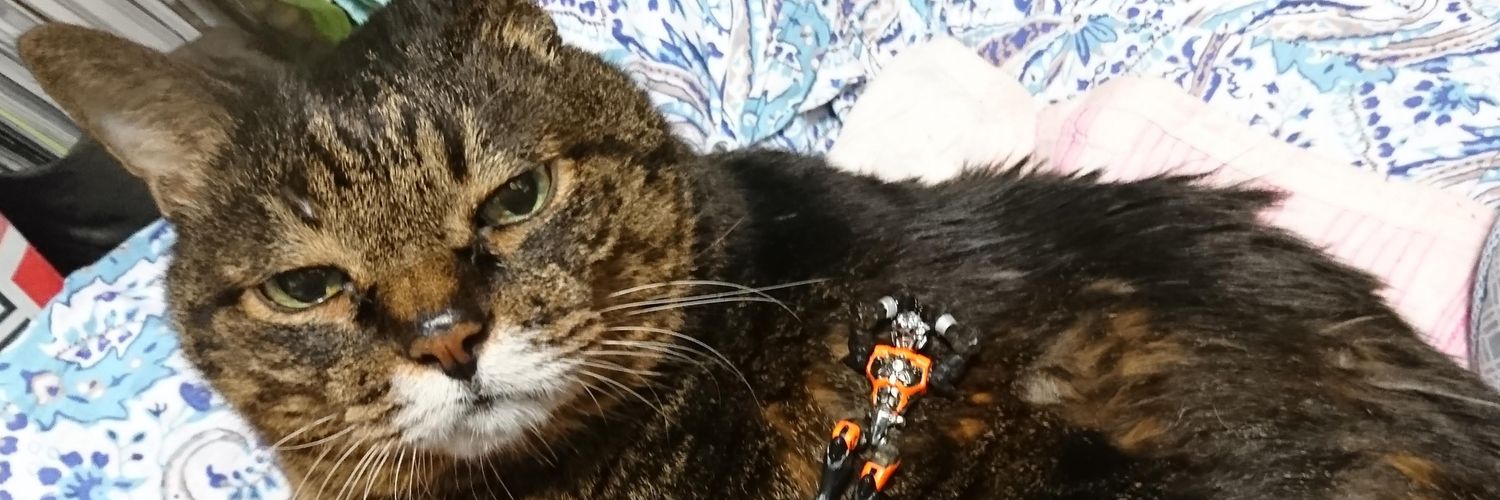 ikalemon's profile banner image