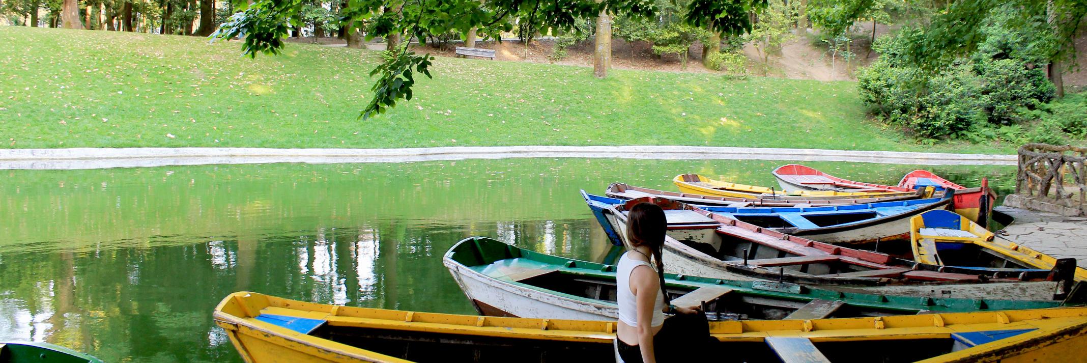 rocio_rmr3's profile banner image