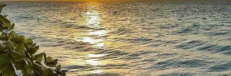 joudi33's profile banner image
