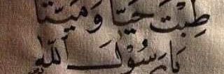 bogabo777's profile banner image