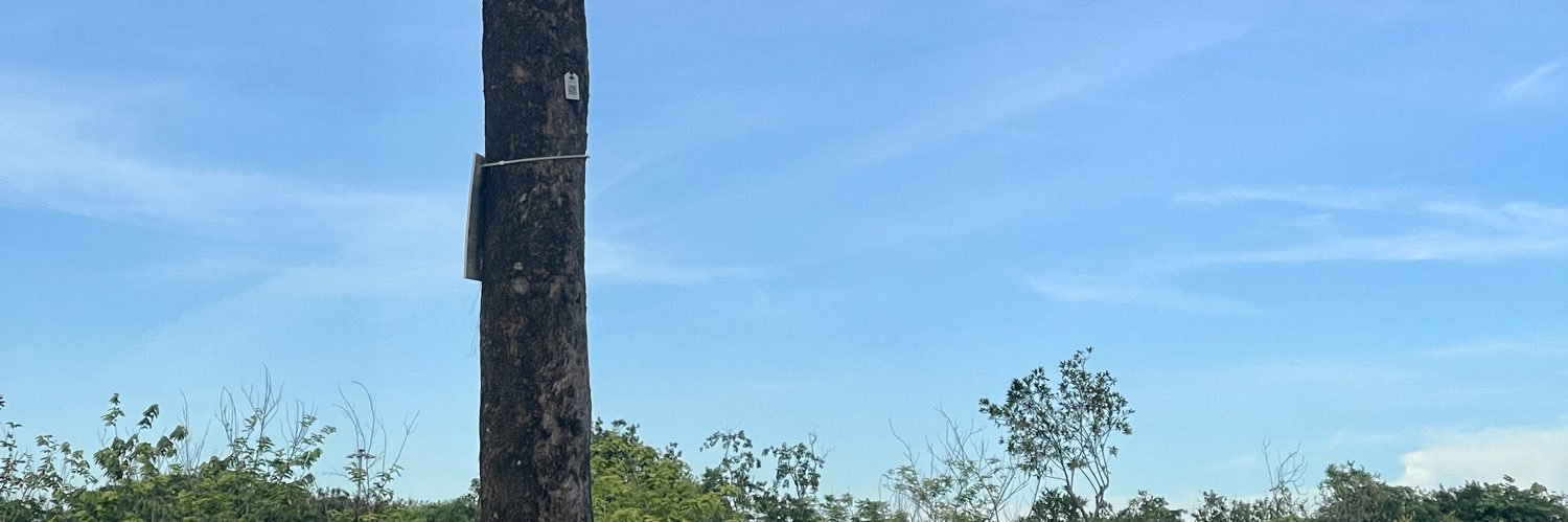 supermonkey banner