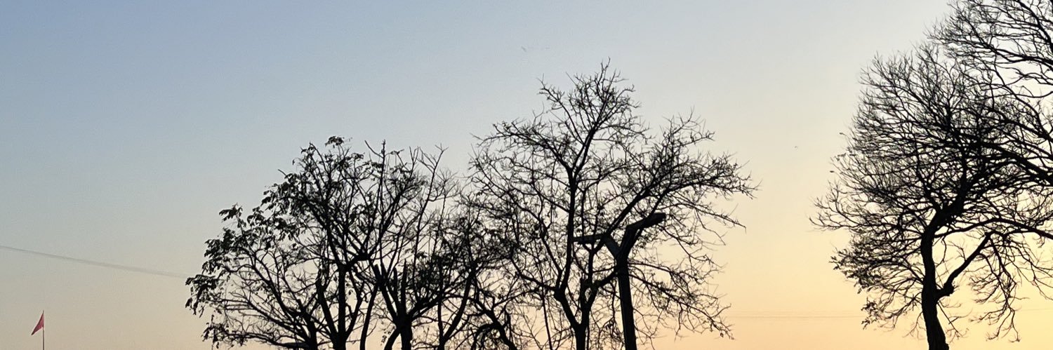 zynpsl13's profile banner image