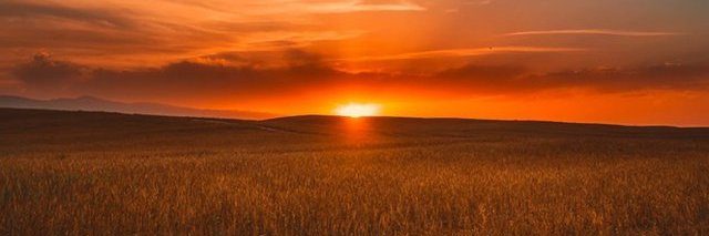 vhe_lish's profile banner image