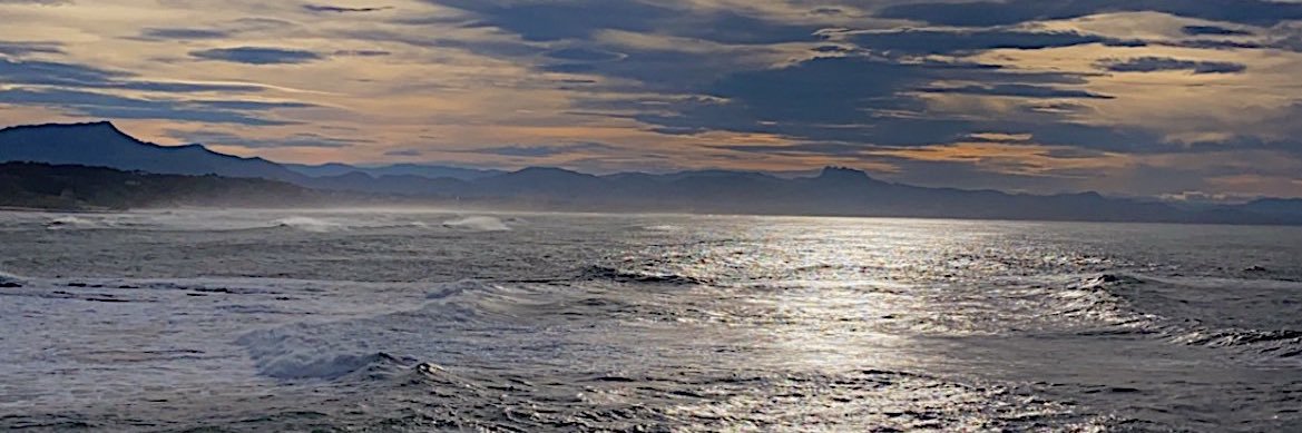 malia_jmt's profile banner image