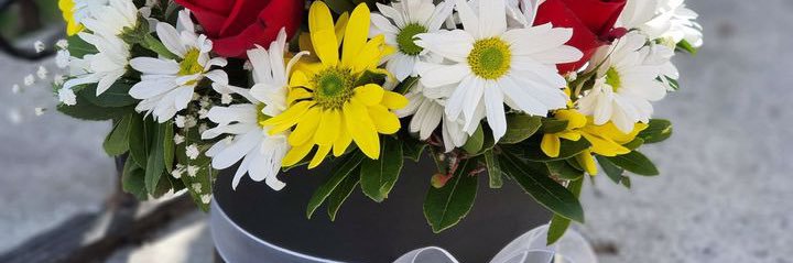 💛 iZMİR♡Lİ ❤️ banner