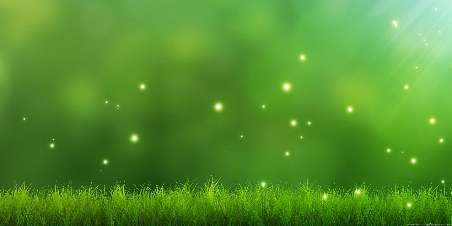 nalsabshaikh's profile banner image