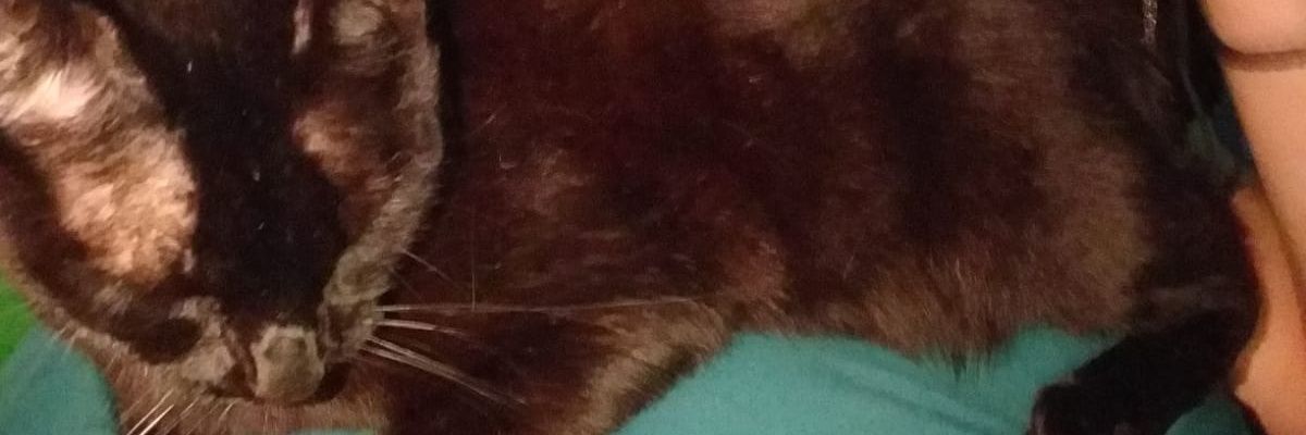 WillDrake022's profile banner image