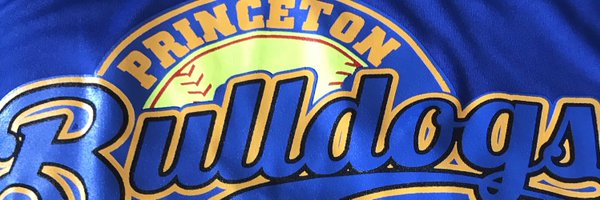 PrincetonSoftb1 Profile Banner