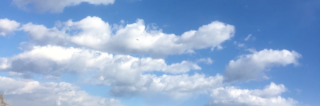 Lisa Kitamura(Kikuchi) banner