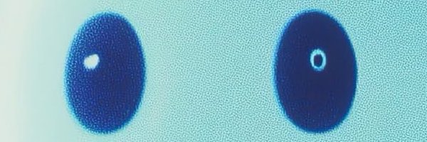 AimlessRL Profile Banner