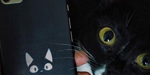 Tanty_Boo's profile banner image