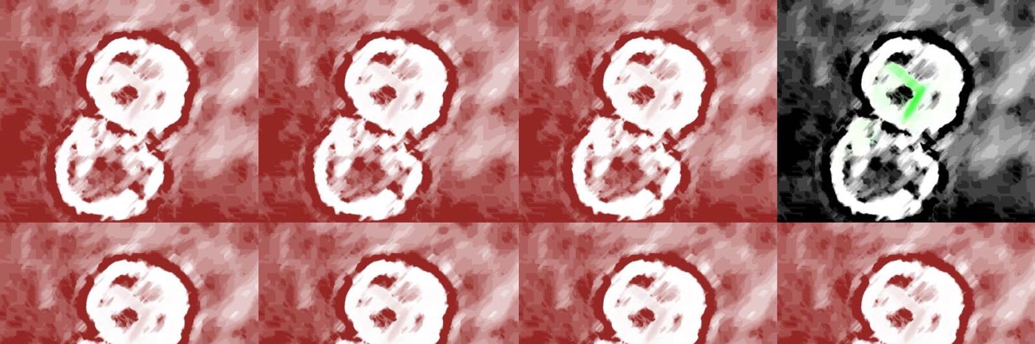 SU-HOST PATHOGEN MYCOBACTOMICS RESEARCH GROUP banner
