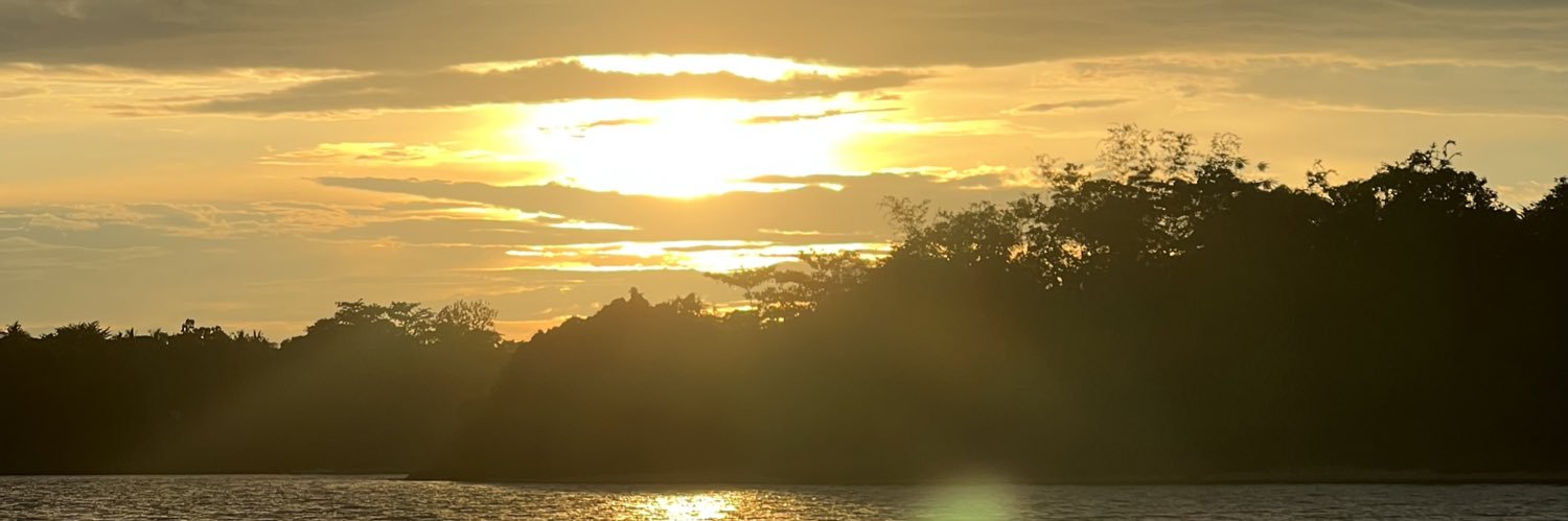 mlfarinas's profile banner image
