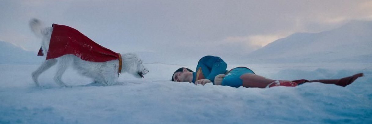 project hail lauren👎 banner