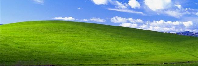 ngdlll's profile banner image