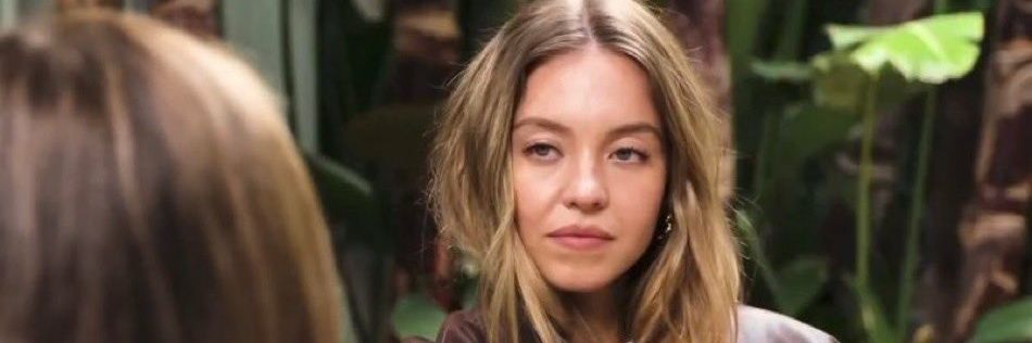 Visconde da Pica banner