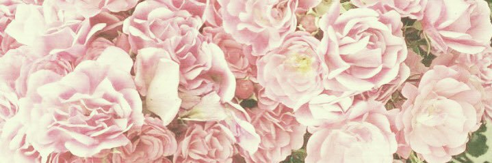odonnellsl_'s profile banner image