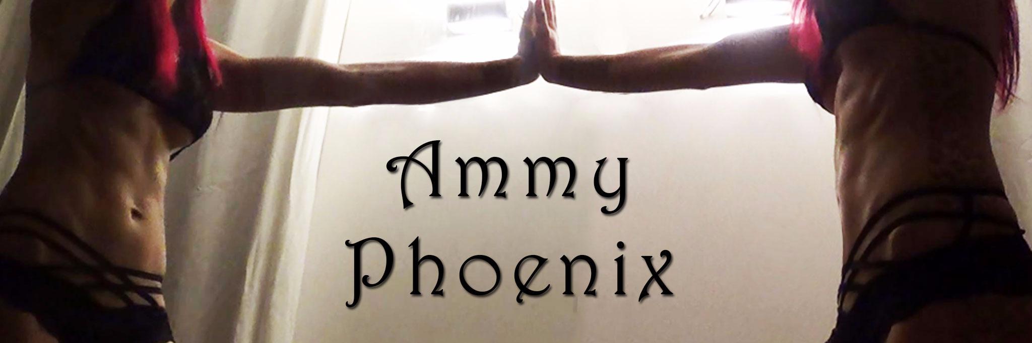 AmmyPhoenix's profile banner image
