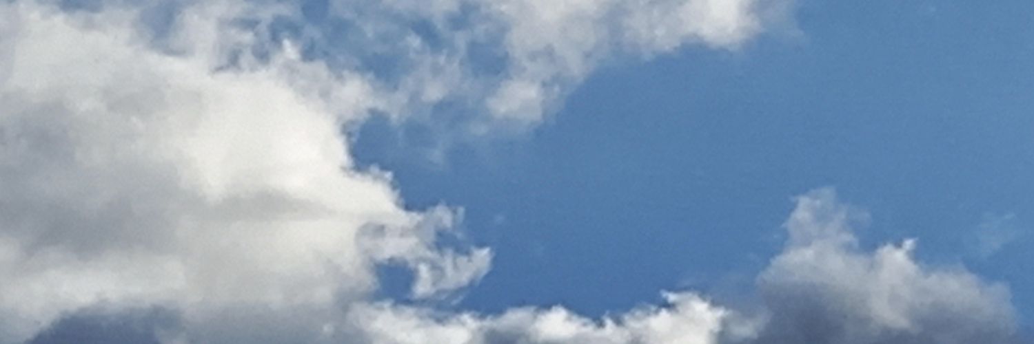 titicillo's profile banner image