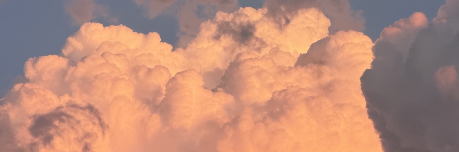 lonizooo's profile banner image