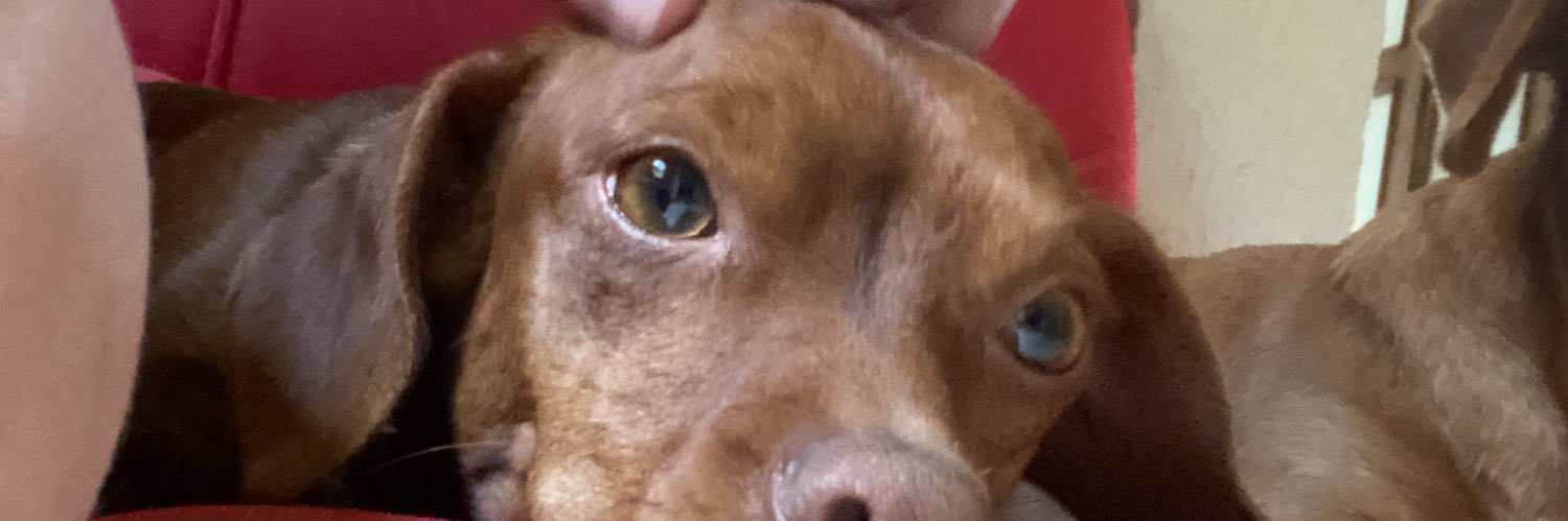 lil_pingaa's profile banner image