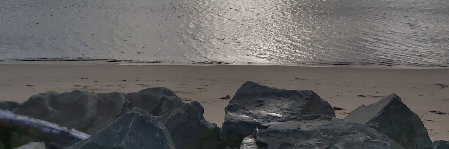 Dr. Stephanie Wales Tobin banner