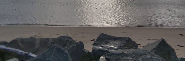 stephcellsci Profile Banner