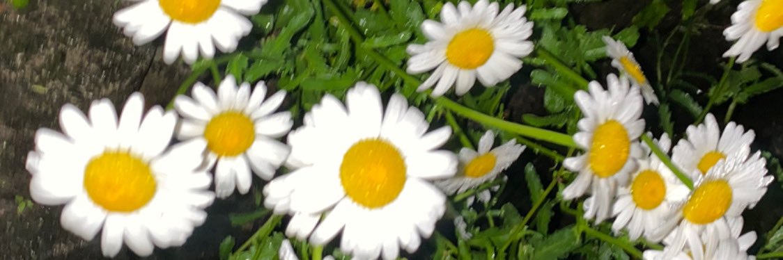 rabirabi0's profile banner image