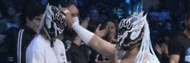 Nobody Important banner