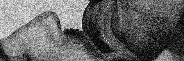 Ouroboros banner