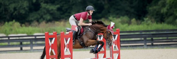 bitchymares Profile Banner