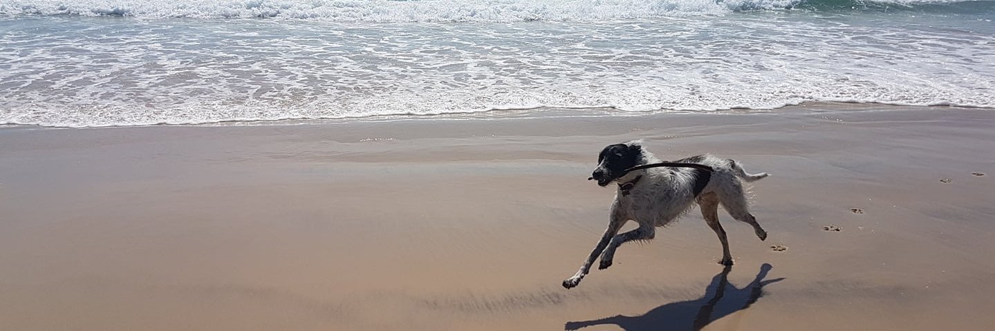 Scotty Russell banner