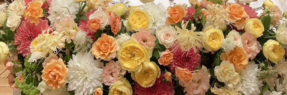 e_miluuuu's profile banner image