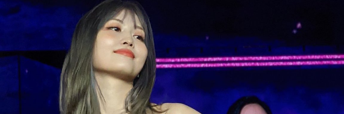 Vanessa banner