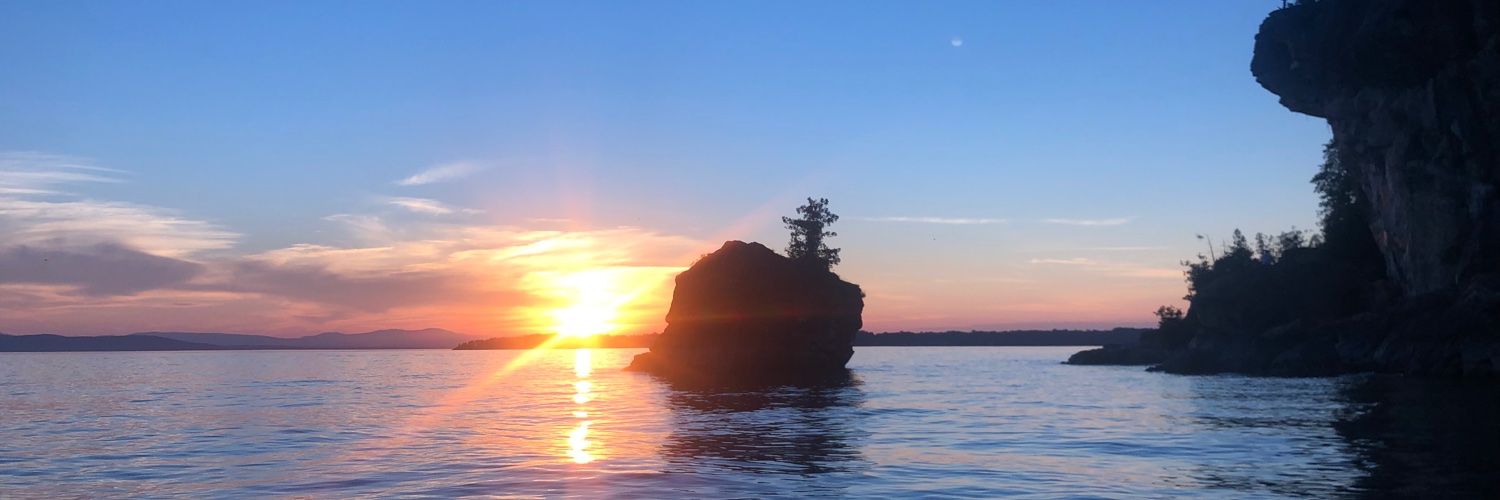 Sherin Rouhani, MD PhD banner