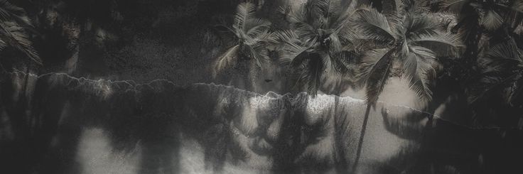 ﹐𝓛. banner