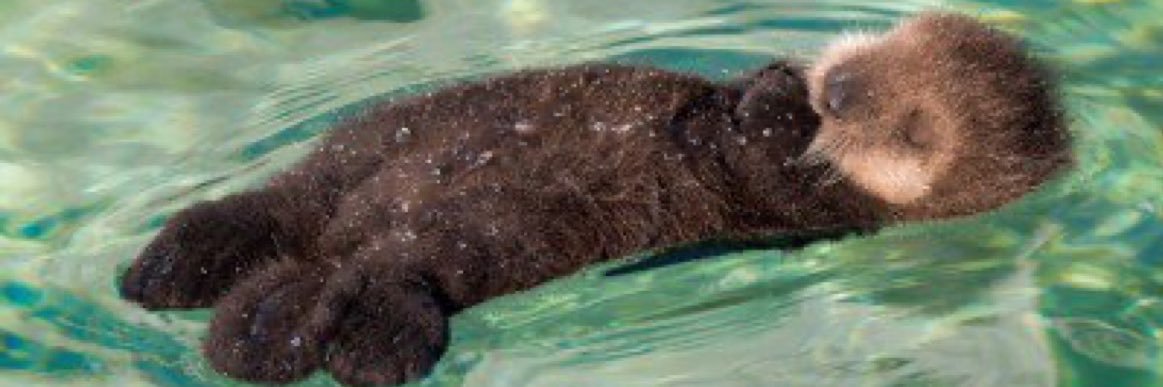 squashsquashh's profile banner image