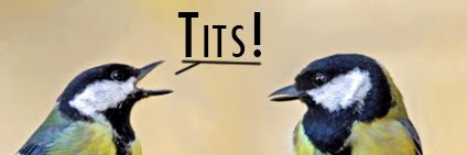 Nitska Bastet banner