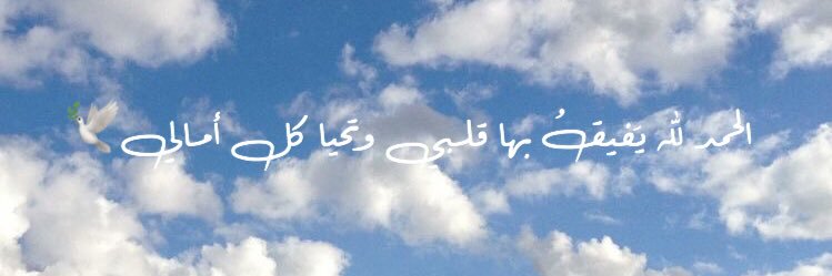 _aboora8's profile banner image