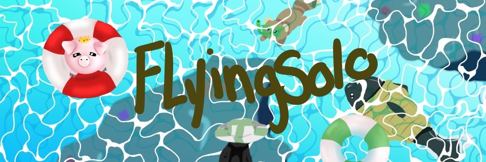 Flying_Solo143's profile banner image
