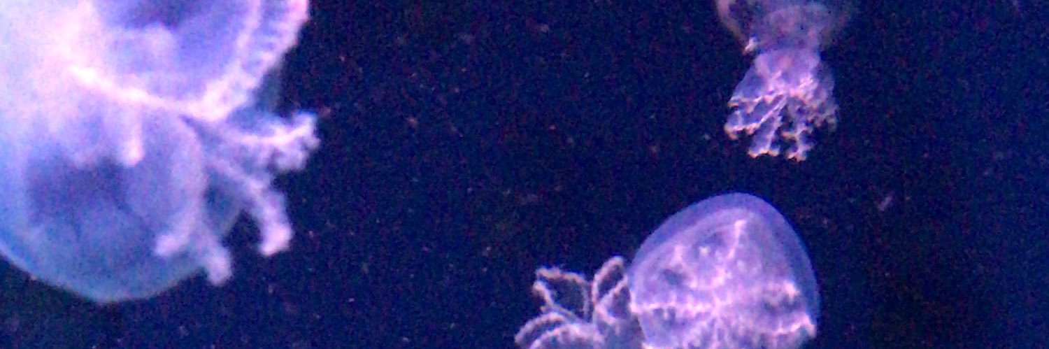 8_22_ty's profile banner image