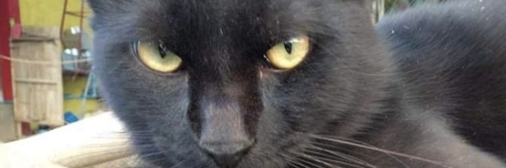 Kellmih1's profile banner image