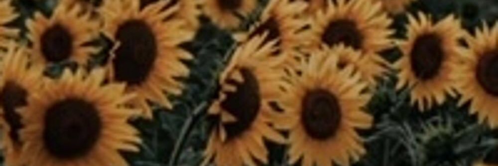 you had me at murder; a true crime podcast banner