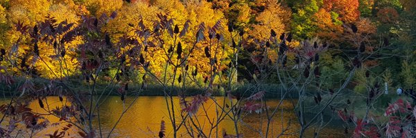 ArianKarimi9 Profile Banner