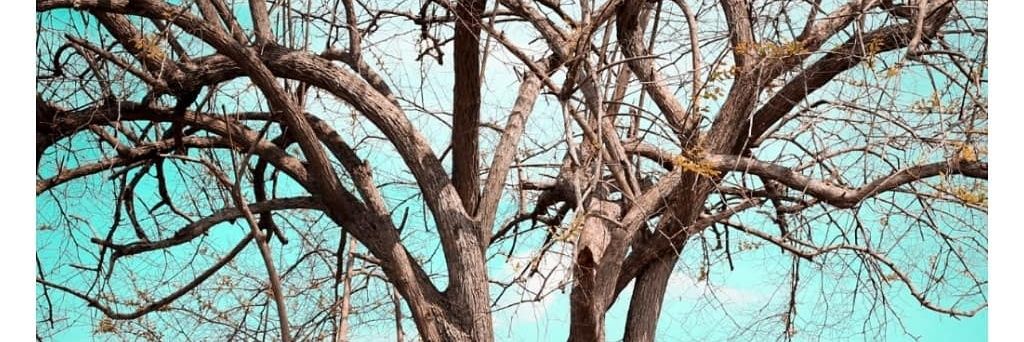 sobirinnp's profile banner image