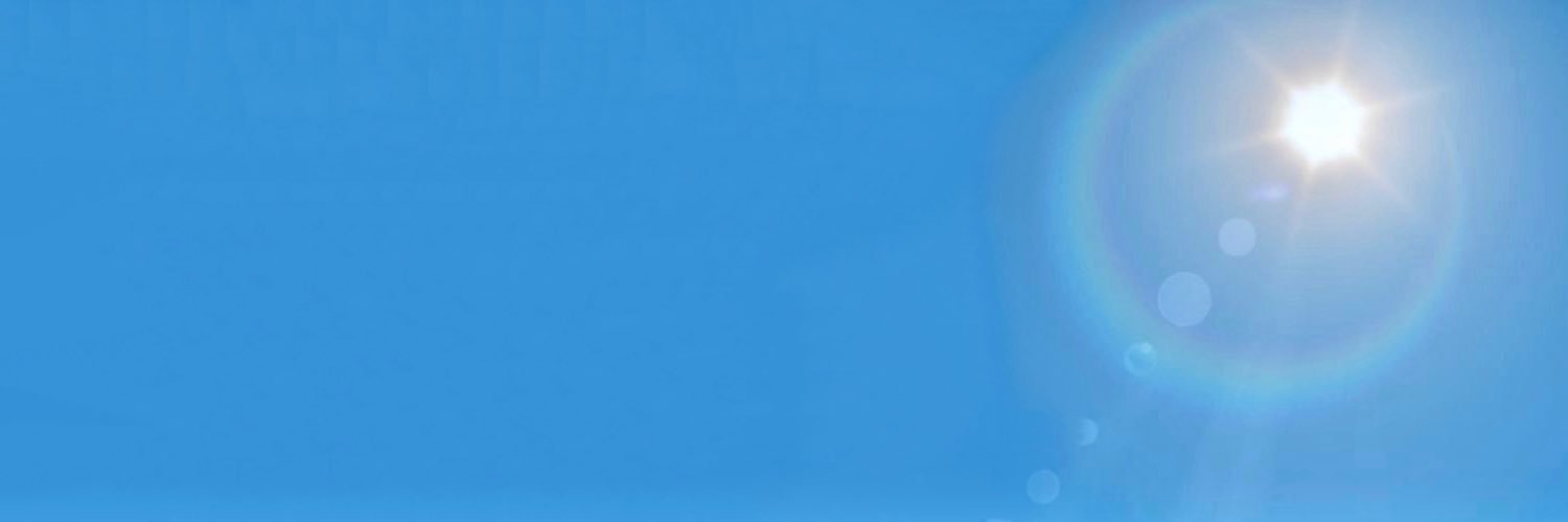 Brazilian Wave banner