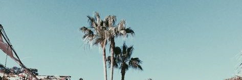 2w_tuji's profile banner image